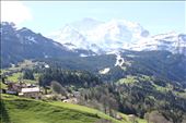 The view on the train to Jungfraujoch. . The most amazing scenery we have ever seen: by hethoandstokesyseuropeanadventure, Views[244]