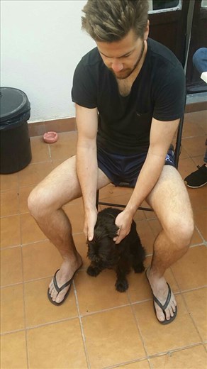 Our hostel dog :) don't ask me his name.. we have no idea.. but he was cute and loved all of the attention 