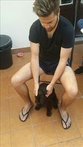 Our hostel dog :) don't ask me his name.. we have no idea.. but he was cute and loved all of the attention : by hethoandstokesyseuropeanadventure, Views[218]