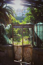 by hethoandstokesyseuropeanadventure, Views[181]