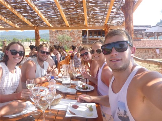 Wine tasting in Stari  Grad, Hvar