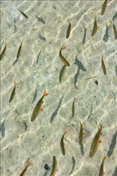 by hethoandstokesyseuropeanadventure, Views[422]