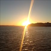 Beautiful sunset over Auckland: by hexbomb, Views[200]