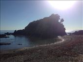 Beautiful scenery on Waiheke: by hexbomb, Views[217]