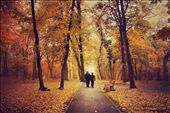 Warm autumn: by highhopes, Views[337]