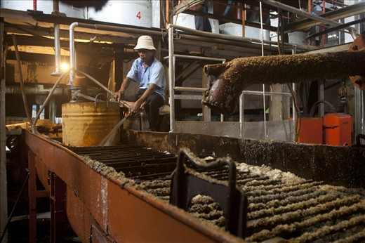 A worker who was spraying water to help the process of crystallization of sug