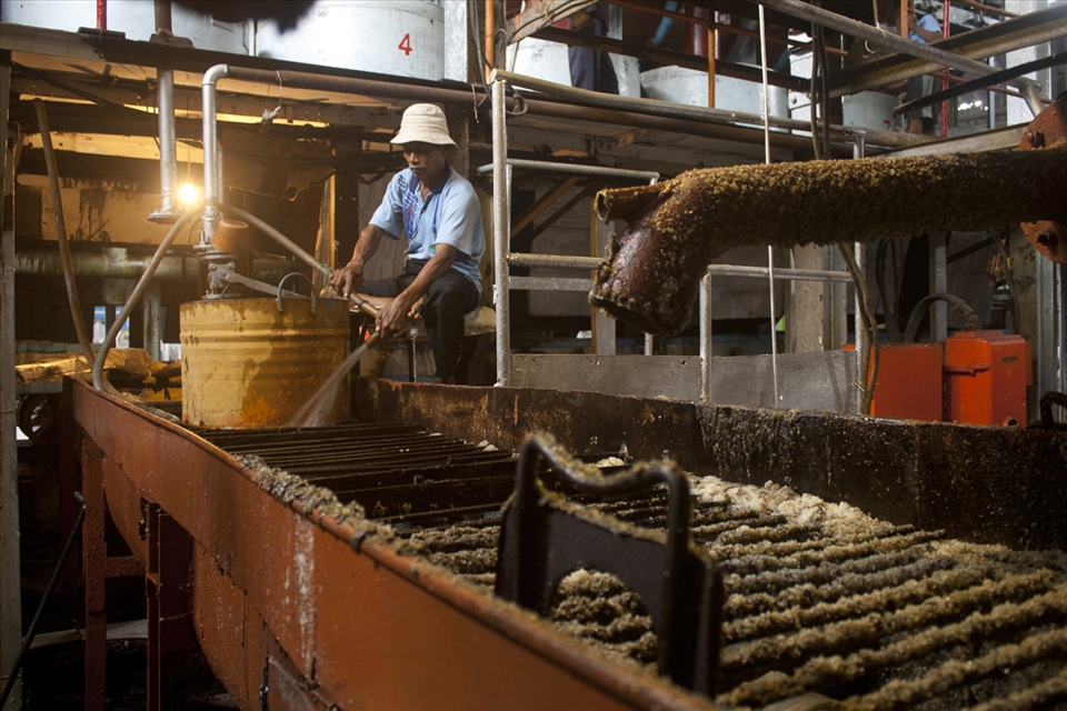 A worker who was spraying water to help the process of crystallization of sug