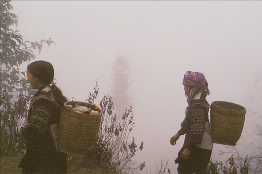 Following two women with supplies from town on their backs, through the mountainous Sapa, one might mistake themselves for being in the clouds.
