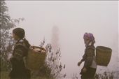 Following two women with supplies from town on their backs, through the mountainous Sapa, one might mistake themselves for being in the clouds.: by hilaryfaye, Views[300]