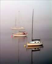 Early morning as the fog slowly lifts and three lonely boats dot the water.: by hilaryrr, Views[301]