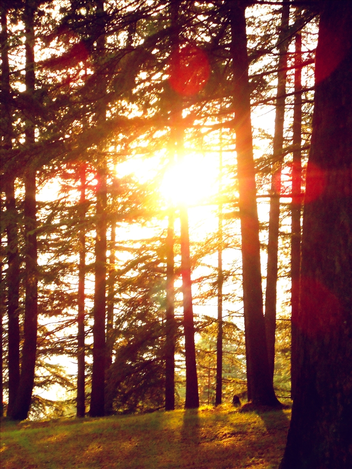 Sunlight is the ultimate manifestation of hope and expectation!