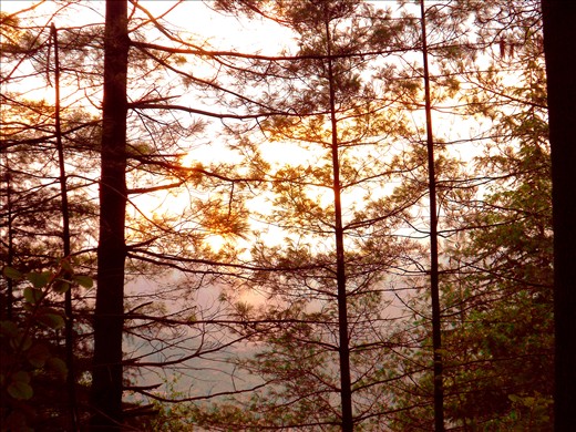 Because, hope like sunlight permeates through darkness