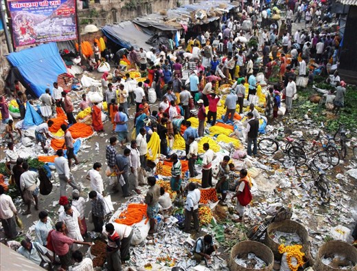 Colors, fragrances, sounds… India in the flower market.