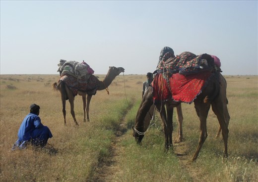 The journey. Nowadays and in the past.