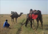 The journey. Nowadays and in the past.: by hindi, Views[306]
