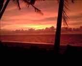 A beautiful Australian sunset: by hinkipunk91, Views[515]