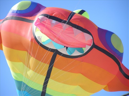 The exciting colors of the Semaphore Kite festival