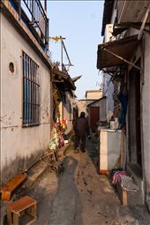 by hkamsadi, Views[277]