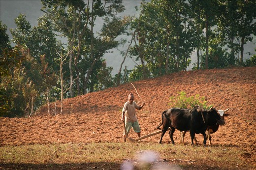 Daily struggle. Living to survive.