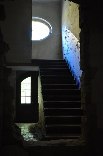 This stairwell in one of the abandoned buildings was nearly inaccessible.