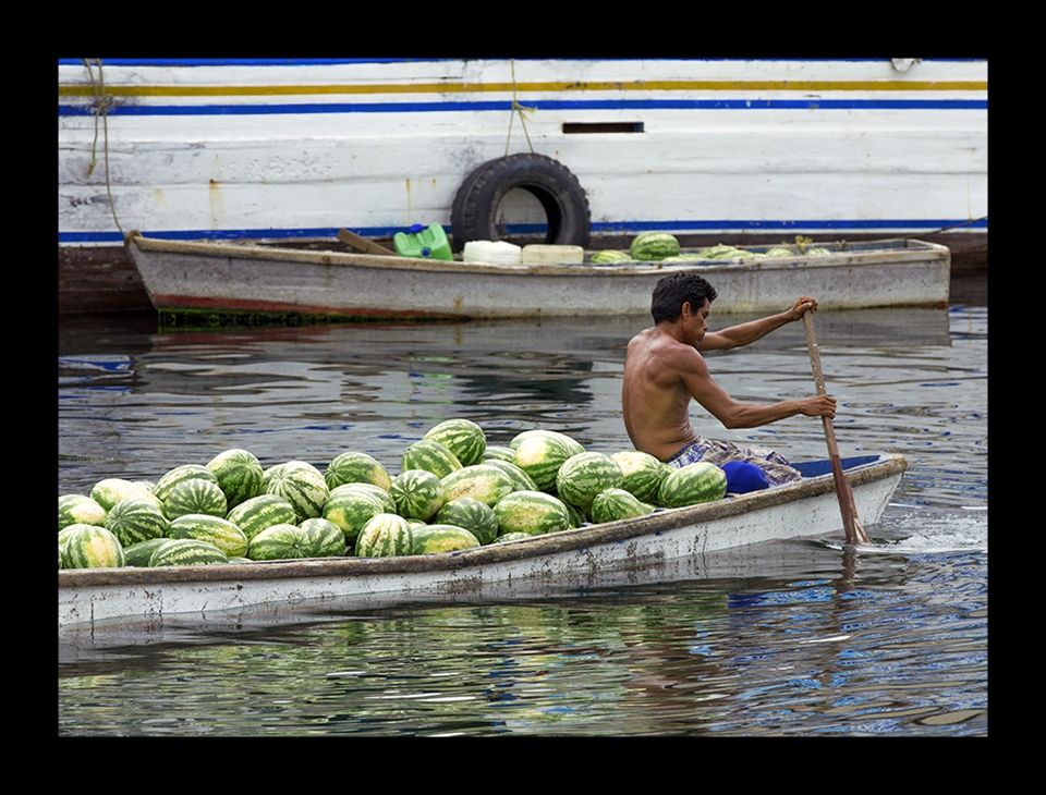 A fruit merchant paddles a boatload of watermelons through the harbor. Fruit merchants from Venezuela and Columbia tether their vessels to the waterfront creating a colorful arrangement known as the floating market. One can shop for fresh fruit amidst the confrontational shouts of competing merchants.
