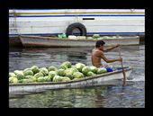 A fruit merchant paddles a boatload of watermelons through the harbor. Fruit merchants from Venezuela and Columbia tether their vessels to the waterfront creating a colorful arrangement known as the floating market. One can shop for fresh fruit amidst the confrontational shouts of competing merchants.: by hoffeman, Views[703]