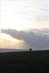 by hohoho, Views[147]