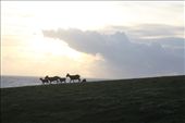 by hohoho, Views[190]