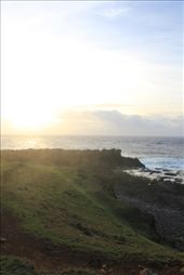 by hohoho, Views[206]