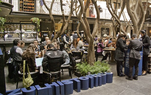 Enchiladas for lunch