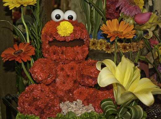 Elmo in flowers