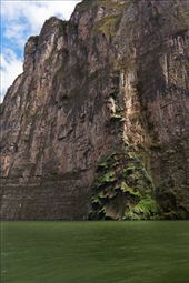 The Christmas Tree in Canyon Sumidero: by holdensontheroad, Views[230]