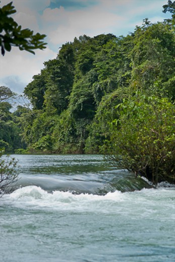 Some of the small rapids we went up in the boat