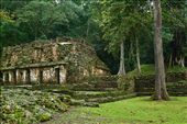 Mayan ruins Yaxchilan: by holdensontheroad, Views[203]