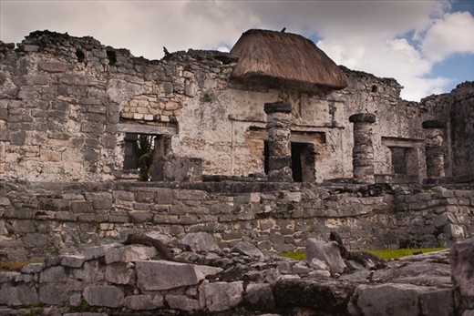Ruins at Tulum... how many iguanas can you see?