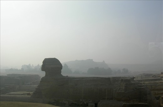 Charming, graceful, strong and loyal. A thousands of years have passed, but his loyalty keep Pyramid of Giza will never stop until he disappeared into dust.