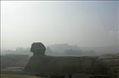 Charming, graceful, strong and loyal. A thousands of years have passed, but his loyalty keep Pyramid of Giza will never stop until he disappeared into dust.: by holiday, Views[240]