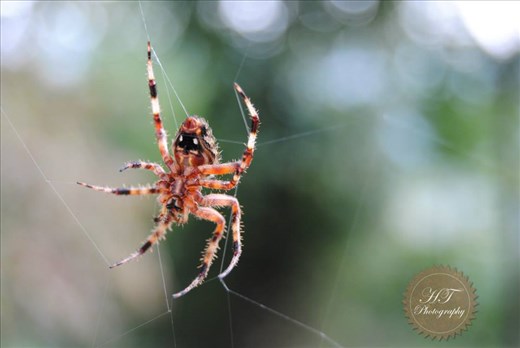 Pay attention to the little things