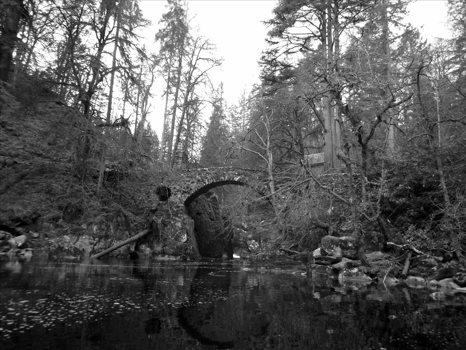 For many years this bridge once provided safe access across the river. Now it is no longer used and so it is slowly becoming like its woodland environment as moss grows over it and the roots of nearby trees envelop it.
