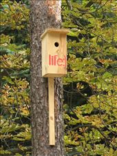 Life is good!!!!: by holodays, Views[214]