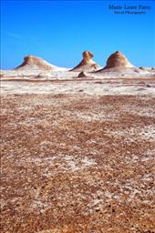 by home_sweet_holmes, Views[575]