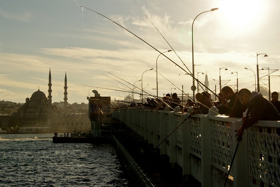 How to steal the sea from the shore and take it home.