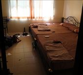 That is some serious sleeping acreage!: by homeless_harry, Views[451]