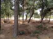The belligerents could have almost punched each other from this distance.: by homeless_harry, Views[401]