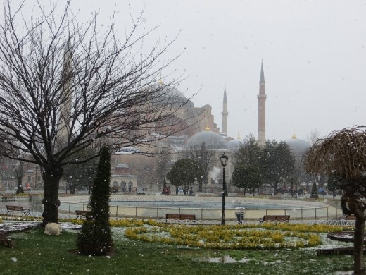 Look at poor little doggy in the corner of the picture!!!!