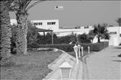 B/W Tunisia : by homz94, Views[178]