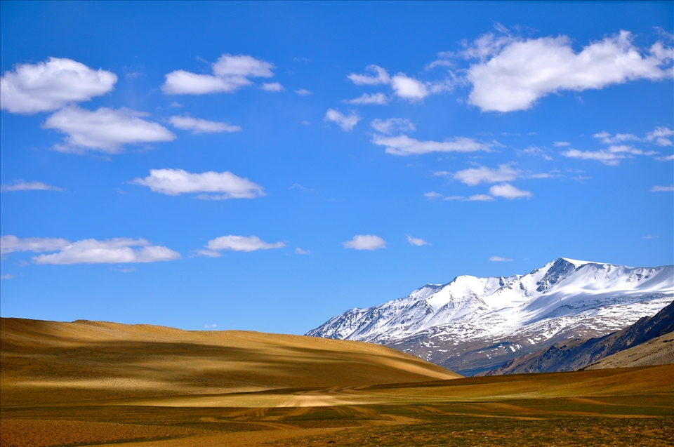 Snow, Sand and Sky - Colours of Ladakh