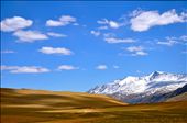 Snow, Sand and Sky - Colours of Ladakh: by honey, Views[969]
