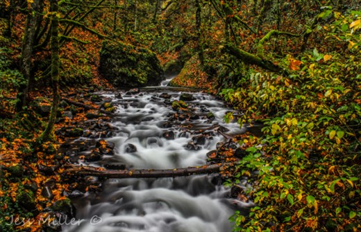 Beautiful Autumn day. This is Bridal Veil creek in the Columbia River Gorge in Oregon. 