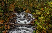 Beautiful Autumn day. This is Bridal Veil creek in the Columbia River Gorge in Oregon. : by honua, Views[256]